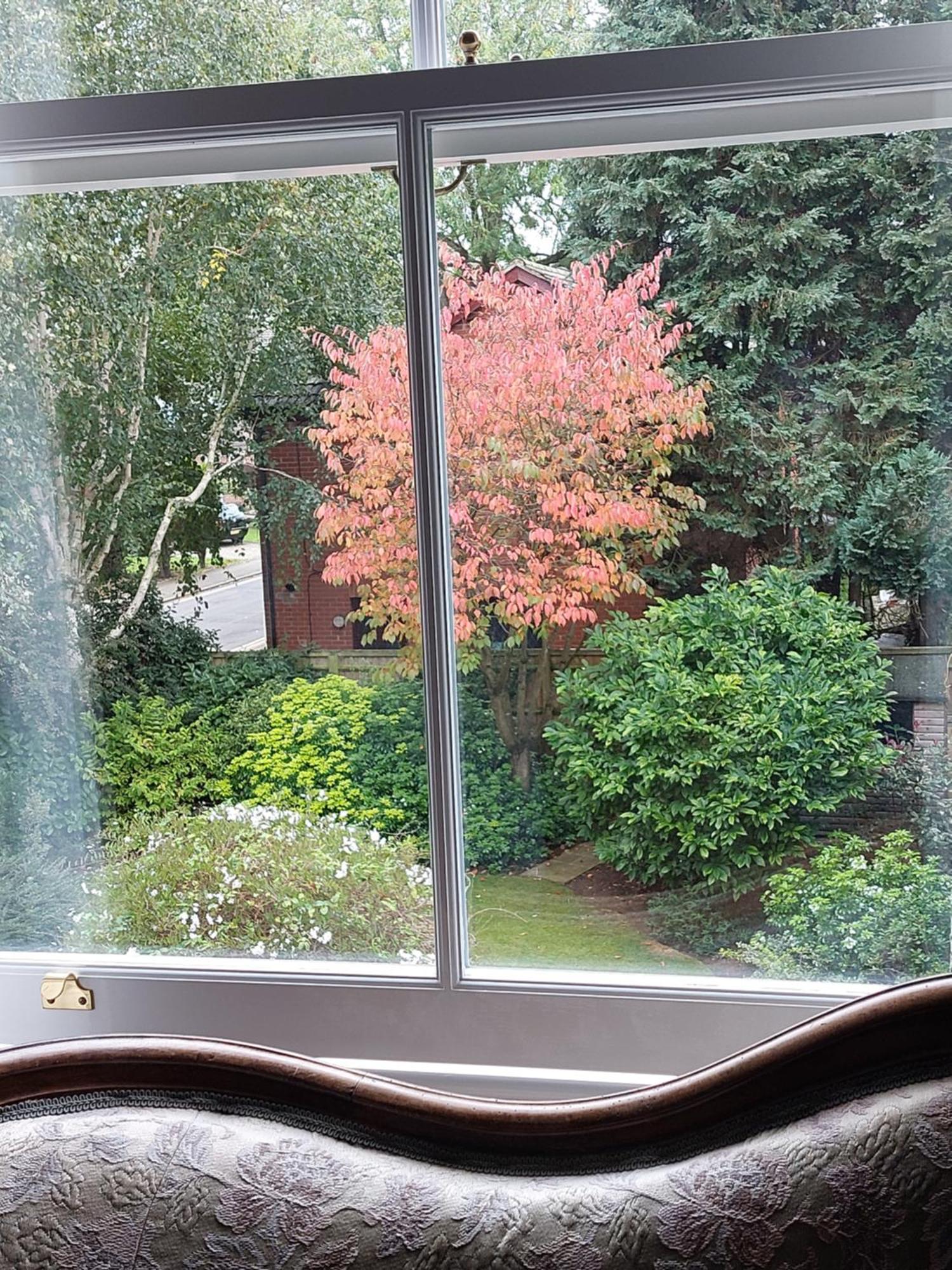 Banbury Cross B&B Bagian luar foto